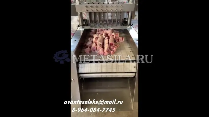картинка Автоматический аппарат для резки замороженного и свежего мяса, костей, овощей и рыбы RAI-2124  от интернет-магазина Метасила
