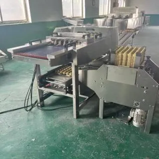 фото Линия для упаковки яиц в лотки F27N от магазина Метасила