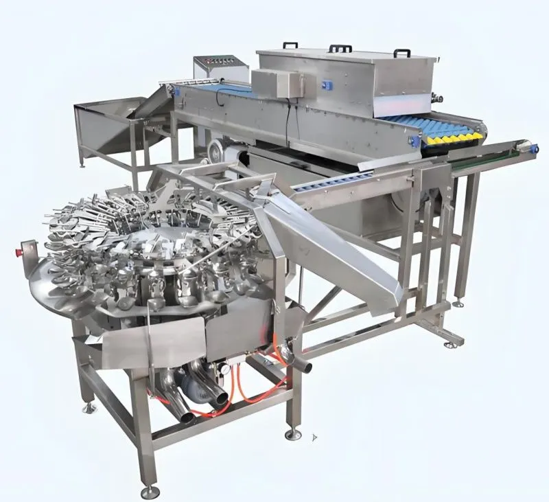 картинка Линия переработки жидкого яйца E6 от интернет-магазина Метасила