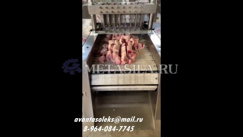 картинка Автоматический аппарат для резки замороженного и свежего мяса, костей, овощей и рыбы RAI-2124  от интернет-магазина Метасила