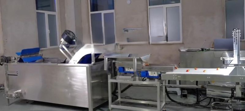 картинка Полностью автоматическая машина для удаления листьев от ягод клубники W12SD (с 2 роботами) от интернет-магазина Метасила