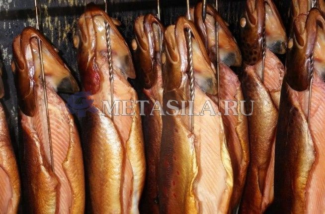 картинка Коптильня 1000 кг (модель снята с производства) от интернет-магазина Метасила