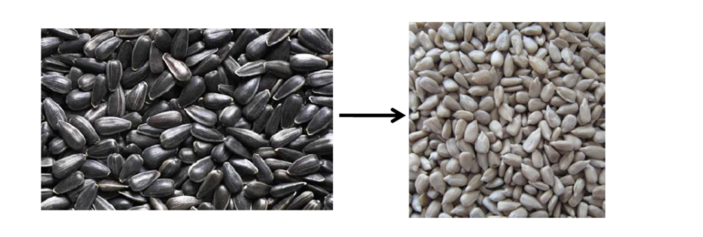 5.png 5.png