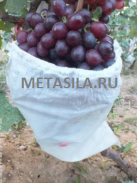 3 - копия.png 3 - копия.png