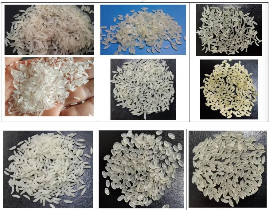 2.jpg 2.jpg