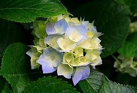 Тестовая статья2 Тестовая статья2