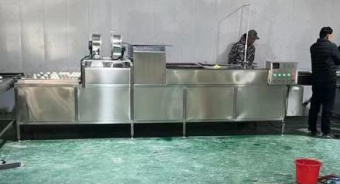 фото Линия автоматической упаковки яиц в лотки W21L от магазина Метасила