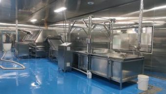 картинка Линия очистки перепелиных яиц L02 от магазина Метасила