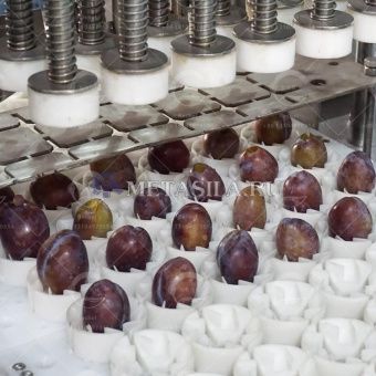 картинка Станок для удаления косточек со слив  от магазина Метасила