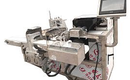 Машина для производства сосисок в тесте BD025