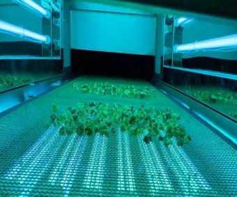 картинка Машина для стерилизации в ультрафиолетовом туннеле продуктов (модель FR-50) от магазина Метасила
