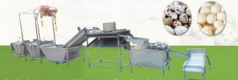 картинка Линия очистки перепелиных яиц L02 от магазина Метасила